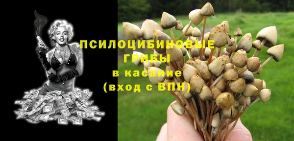 твердый Верея