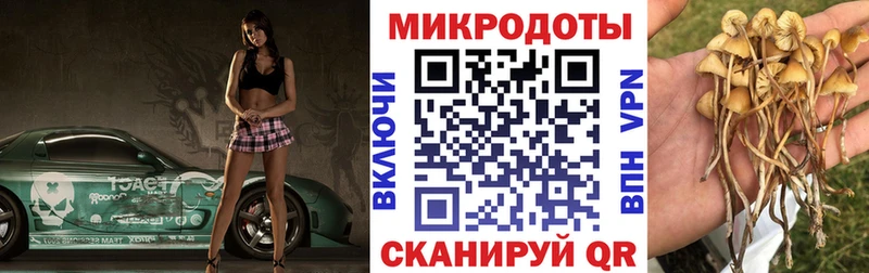 Купить где  Гай  Галлюциногенные грибы ЛСД 